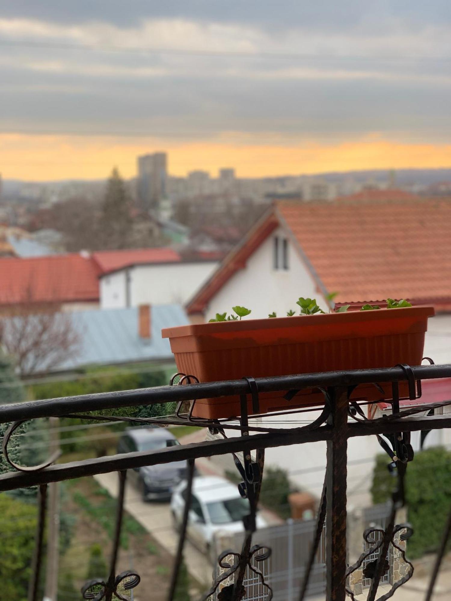 Casa Famous Apartment Iasi Exterior photo